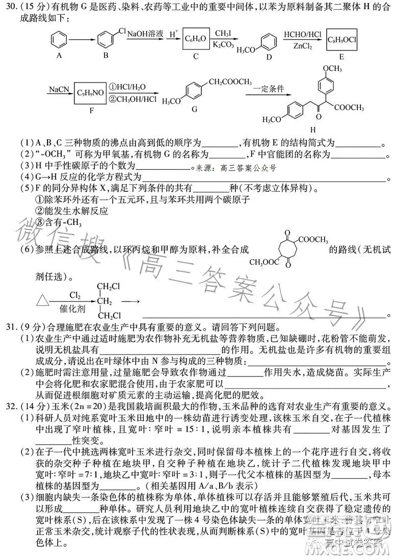 哈師大附中2023年高三第四次模擬考試?yán)砜凭C合試卷答案