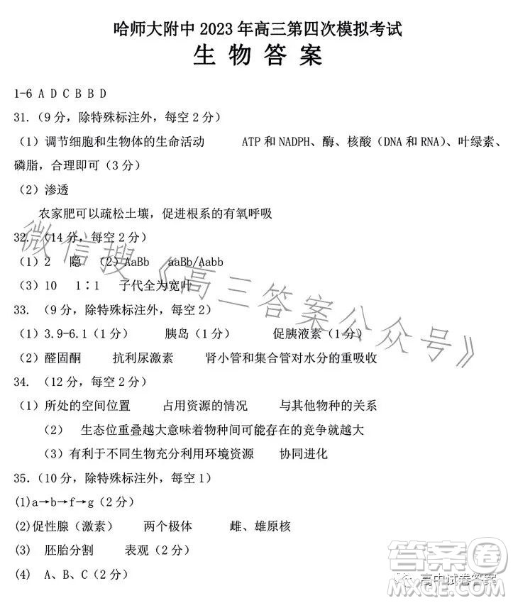 哈師大附中2023年高三第四次模擬考試?yán)砜凭C合試卷答案