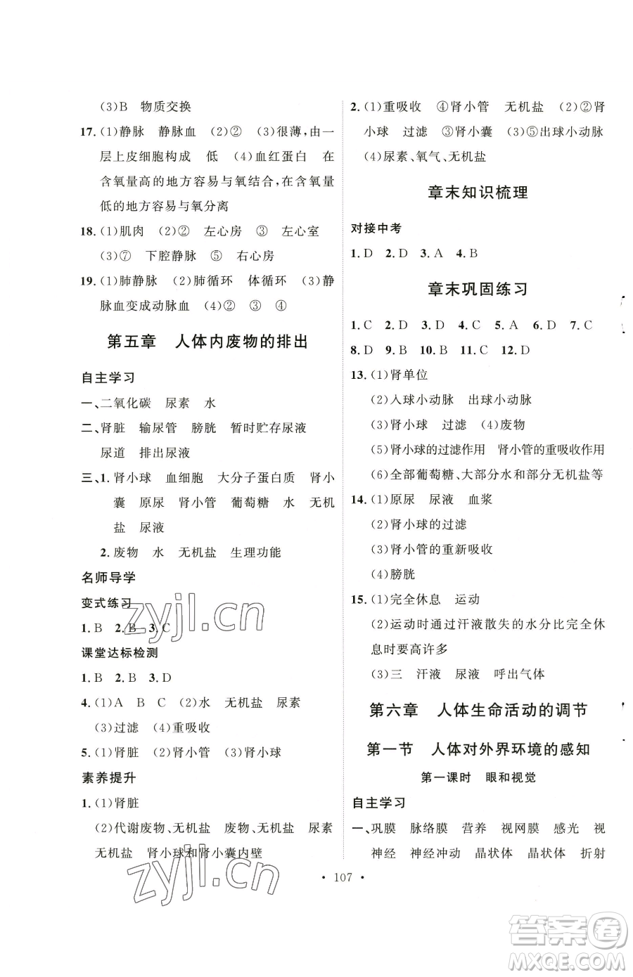 陜西人民出版社2023實驗教材新學案七年級下冊生物人教版參考答案