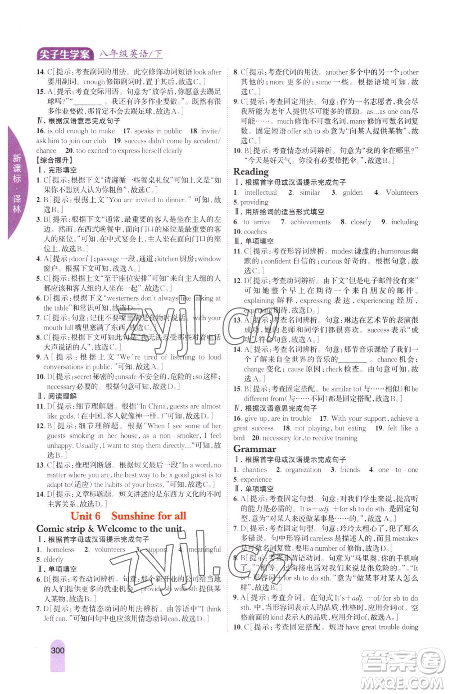 吉林人民出版社2023尖子生學案八年級下冊英語譯林版參考答案