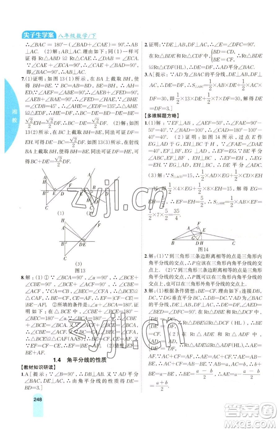 吉林人民出版社2023尖子生學(xué)案八年級下冊數(shù)學(xué)湘教版參考答案