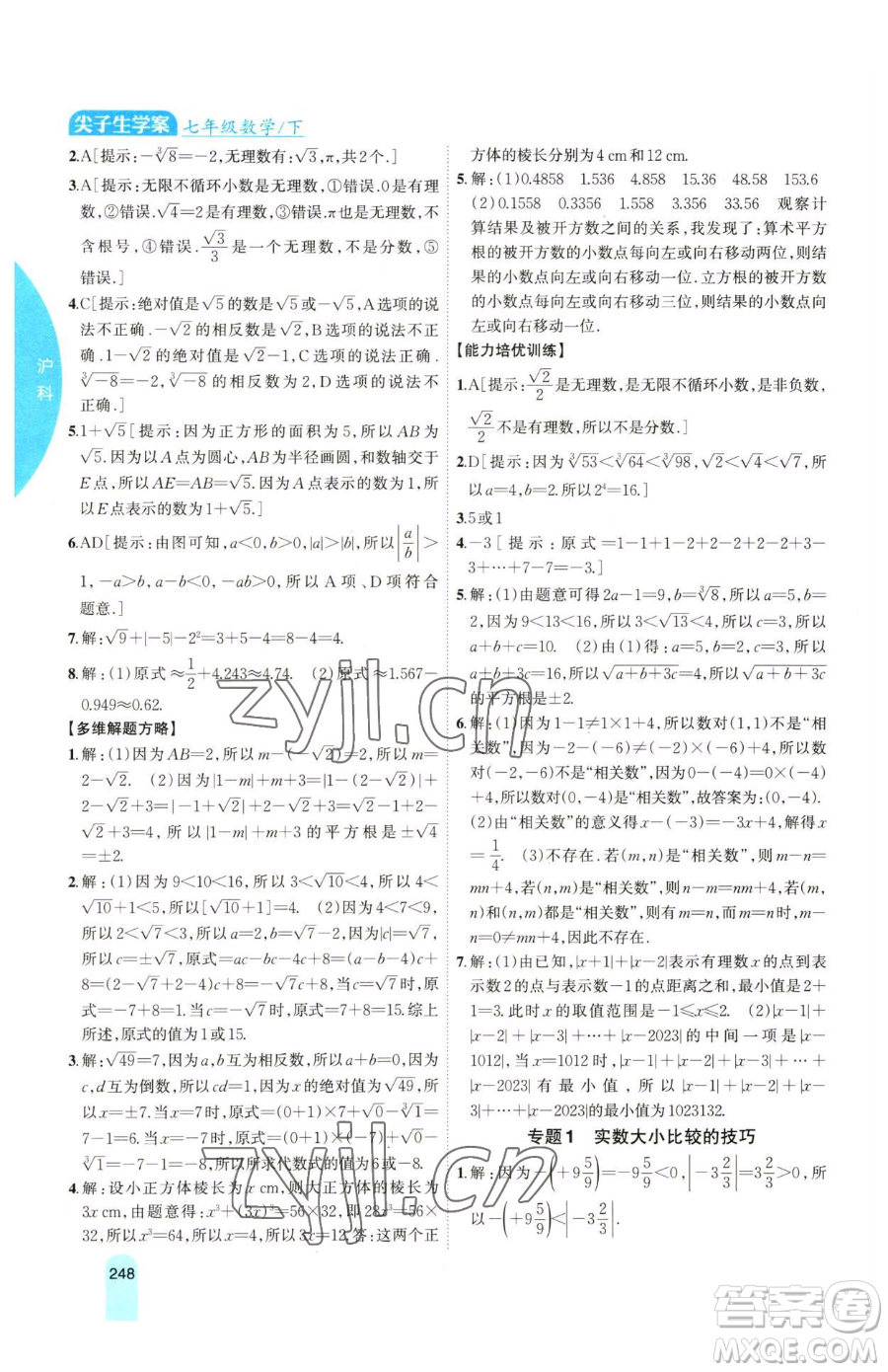 吉林人民出版社2023尖子生學(xué)案七年級下冊數(shù)學(xué)滬科版參考答案
