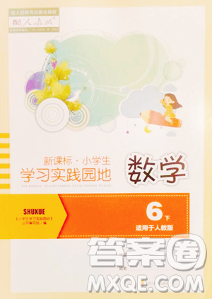 四川教育出版社2023新課標(biāo)小學(xué)生學(xué)習(xí)實(shí)踐園地六年級(jí)下冊(cè)數(shù)學(xué)人教版參考答案
