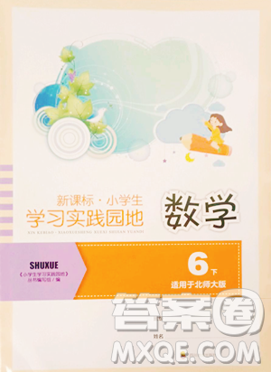 四川教育出版社2023新課標(biāo)小學(xué)生學(xué)習(xí)實踐園地六年級下冊數(shù)學(xué)北師大版參考答案
