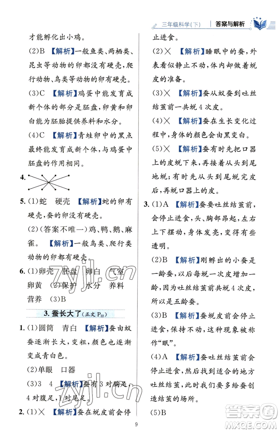 陜西人民教育出版社2023小學教材全練三年級下冊科學教科版參考答案