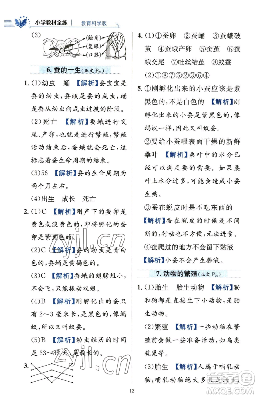 陜西人民教育出版社2023小學教材全練三年級下冊科學教科版參考答案