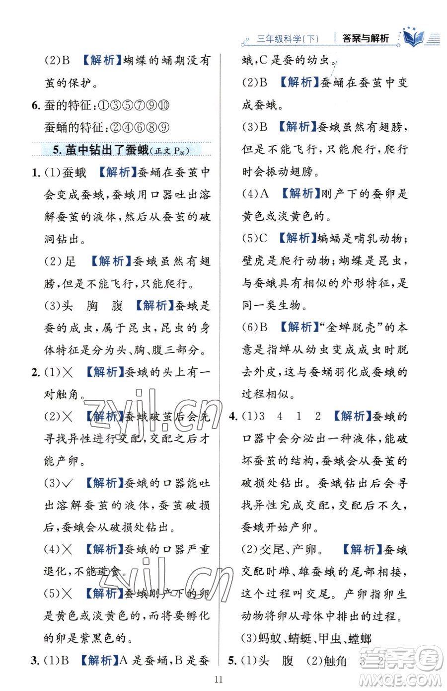 陜西人民教育出版社2023小學教材全練三年級下冊科學教科版參考答案