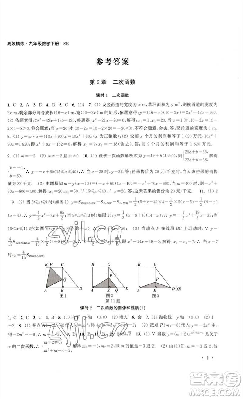 安徽人民出版社2023高效精練九年級數(shù)學下冊蘇科版參考答案
