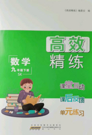 安徽人民出版社2023高效精練九年級數(shù)學下冊蘇科版參考答案