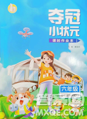 甘肅少年兒童出版社2023智慧翔奪冠小狀元課時(shí)作業(yè)本六年級下冊數(shù)學(xué)人教版參考答案