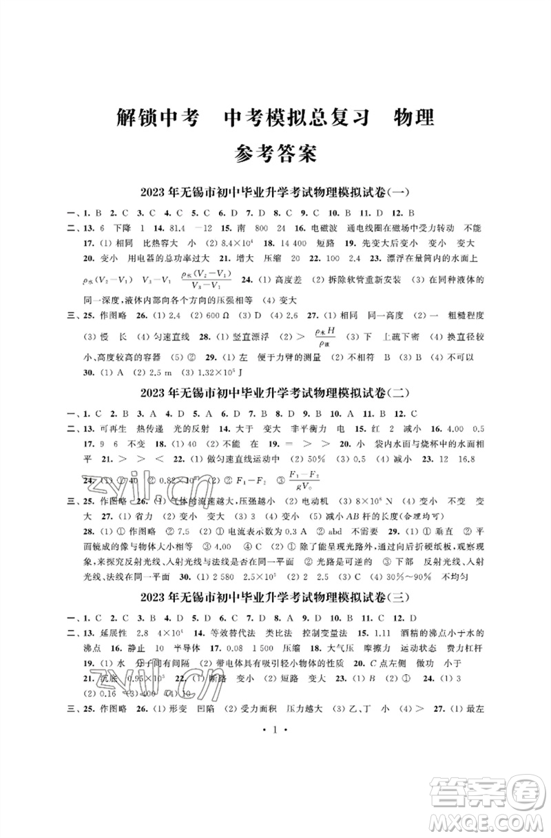 江蘇鳳凰科學技術(shù)出版社2023多維互動提優(yōu)課堂中考模擬總復(fù)習九年級物理蘇科版參考答案