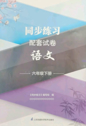 江蘇鳳凰科學技術(shù)出版社2023同步練習配套試卷六年級語文下冊人教版參考答案