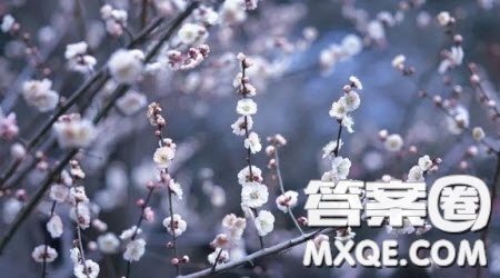 愛的叮囑作文600字 以愛的叮囑為題作文600字