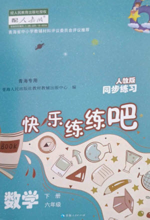 青海人民出版社2023快樂練練吧同步練習(xí)六年級數(shù)學(xué)下冊人教版青海專版參考答案