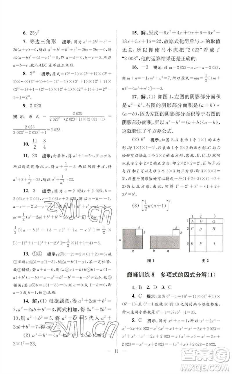 江蘇鳳凰科學(xué)技術(shù)出版社2023初中數(shù)學(xué)小題狂做七年級下冊蘇科版巔峰版參考答案