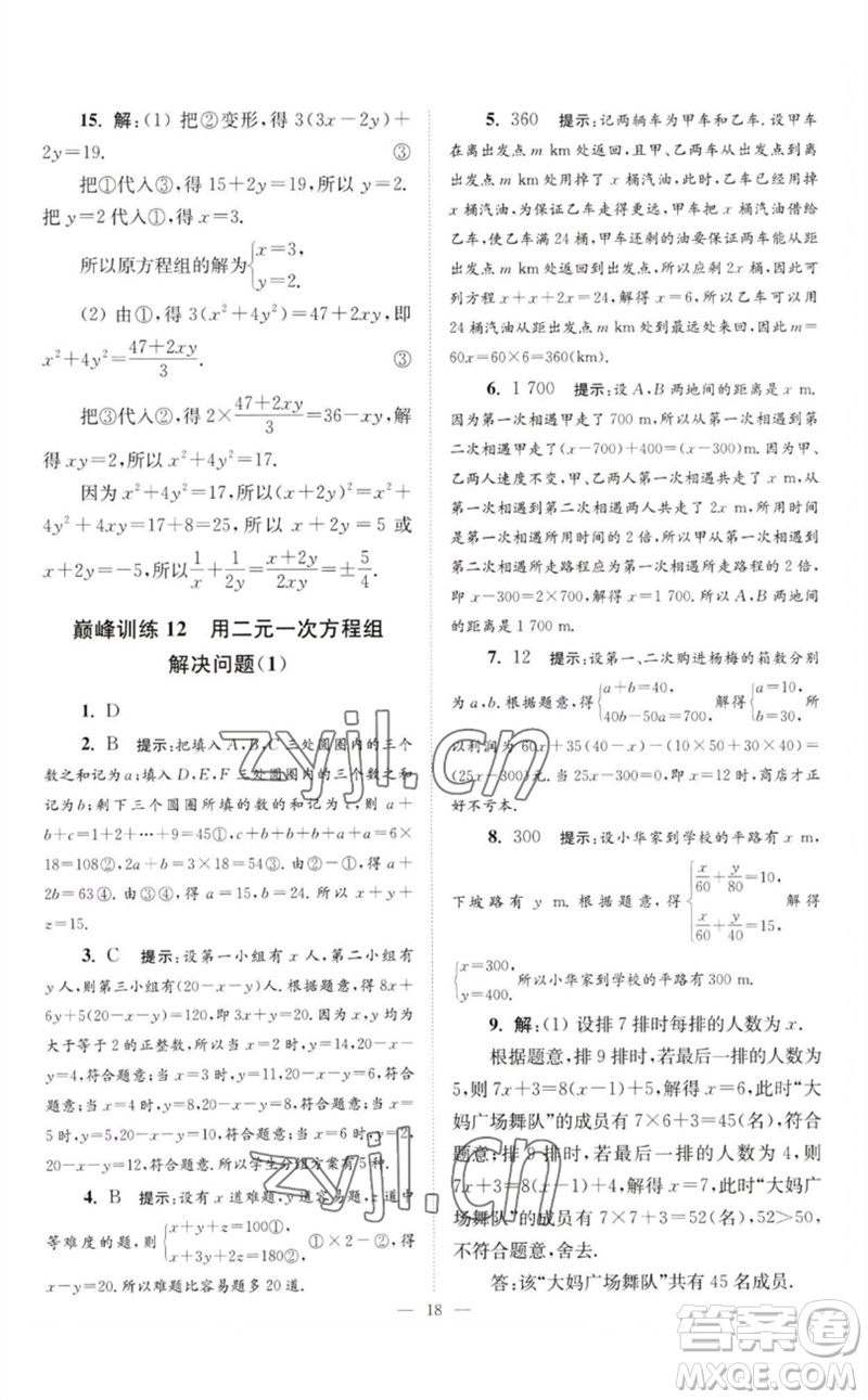 江蘇鳳凰科學(xué)技術(shù)出版社2023初中數(shù)學(xué)小題狂做七年級下冊蘇科版巔峰版參考答案
