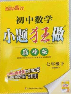 江蘇鳳凰科學(xué)技術(shù)出版社2023初中數(shù)學(xué)小題狂做七年級下冊蘇科版巔峰版參考答案