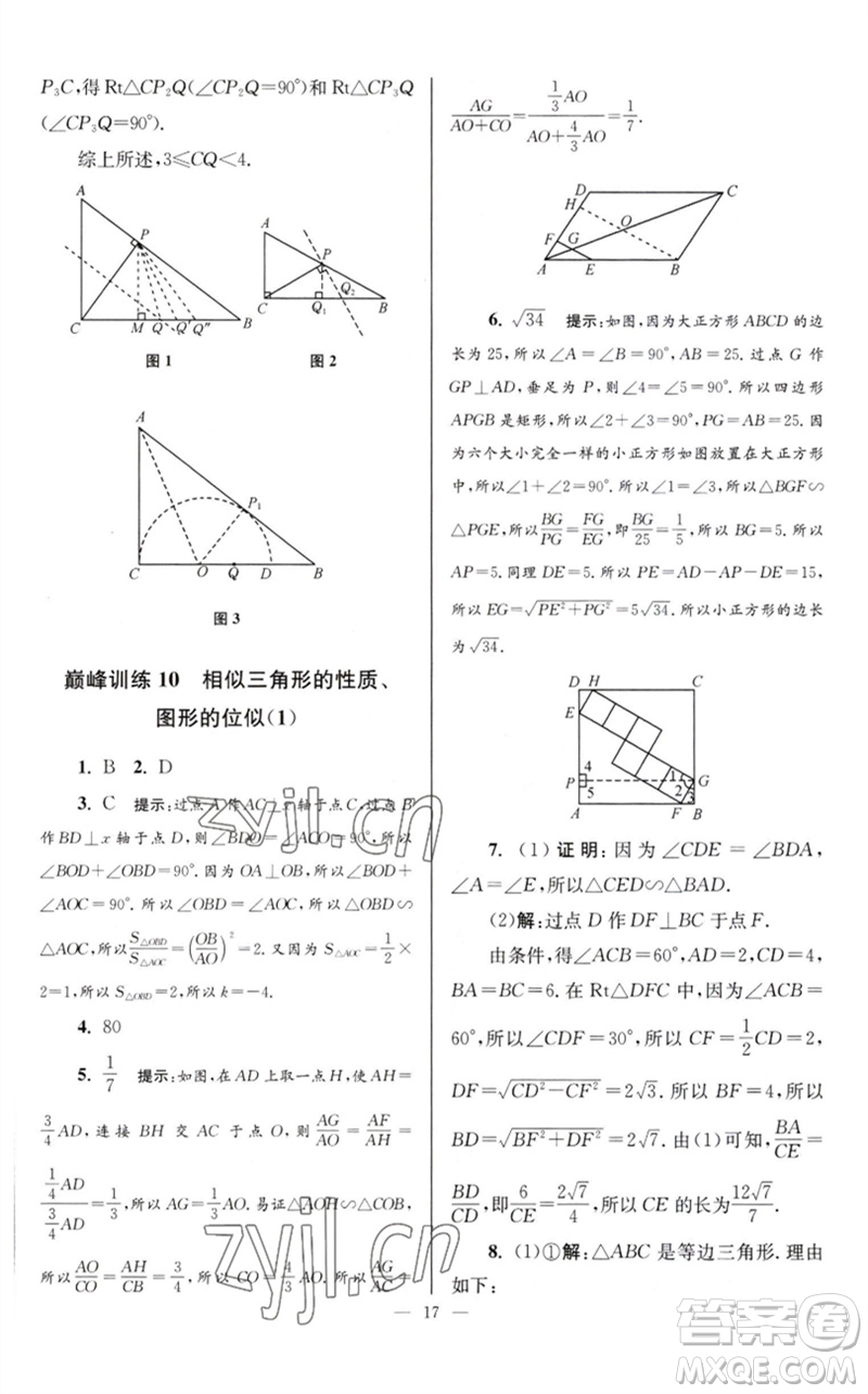 江蘇鳳凰科學(xué)技術(shù)出版社2023初中數(shù)學(xué)小題狂做九年級下冊蘇科版巔峰版參考答案