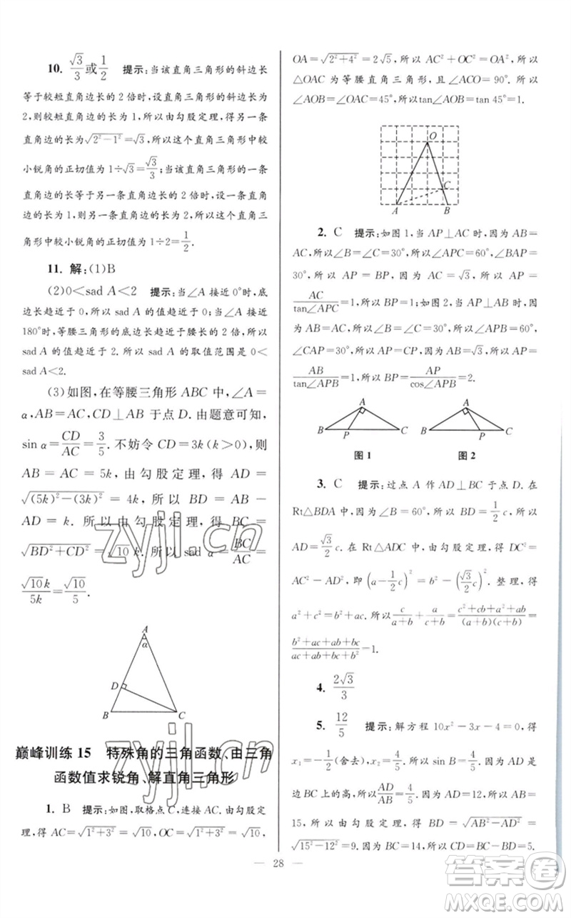 江蘇鳳凰科學(xué)技術(shù)出版社2023初中數(shù)學(xué)小題狂做九年級下冊蘇科版巔峰版參考答案