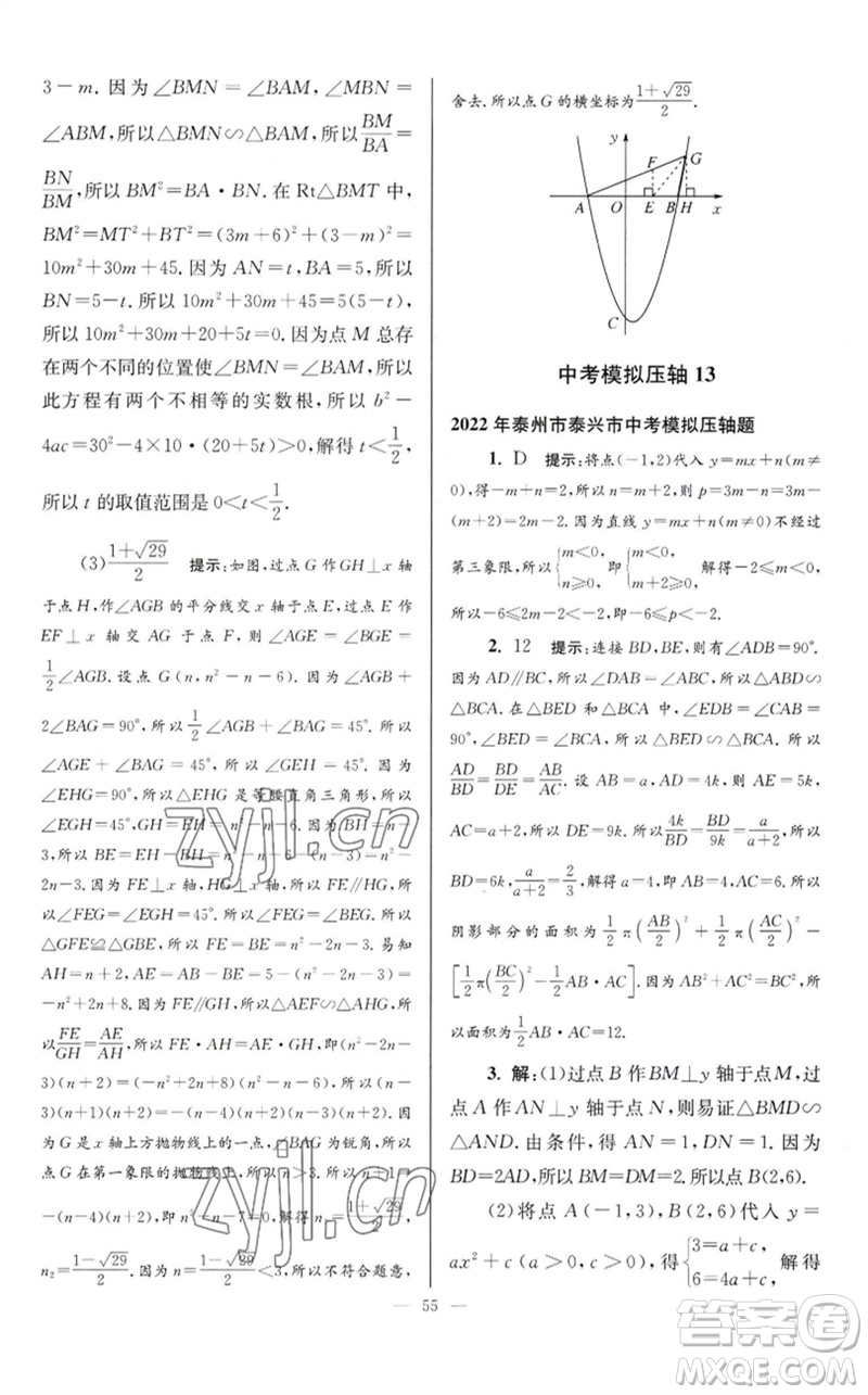 江蘇鳳凰科學(xué)技術(shù)出版社2023初中數(shù)學(xué)小題狂做九年級下冊蘇科版巔峰版參考答案