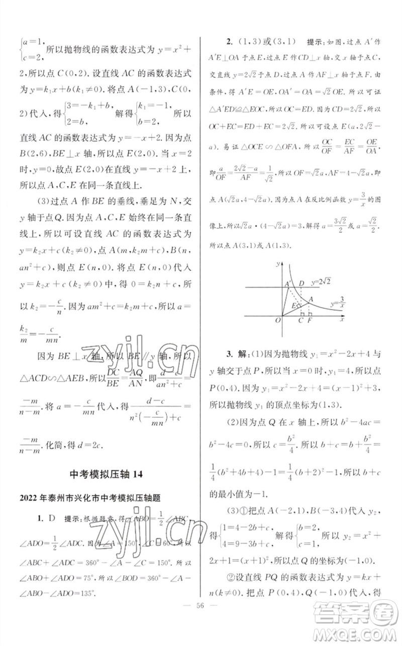 江蘇鳳凰科學(xué)技術(shù)出版社2023初中數(shù)學(xué)小題狂做九年級下冊蘇科版巔峰版參考答案