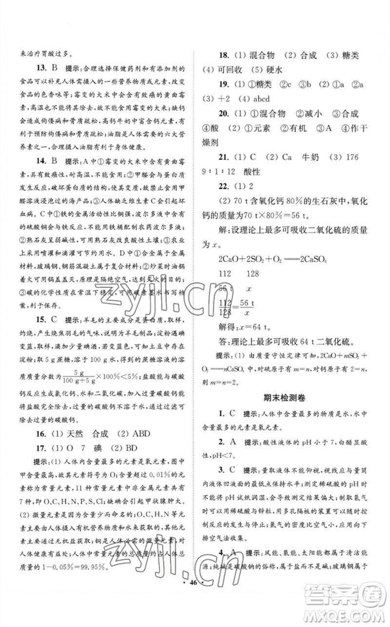 江蘇鳳凰科學(xué)技術(shù)出版社2023初中化學(xué)小題狂做九年級(jí)下冊(cè)人教版提優(yōu)版參考答案