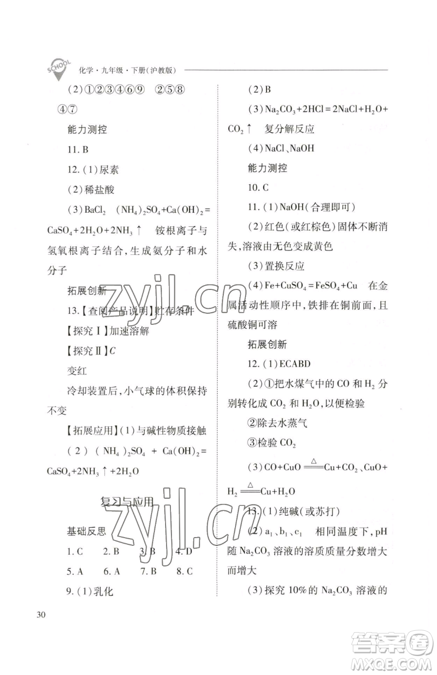 山西教育出版社2023新課程問(wèn)題解決導(dǎo)學(xué)方案九年級(jí)下冊(cè)化學(xué)滬教版參考答案