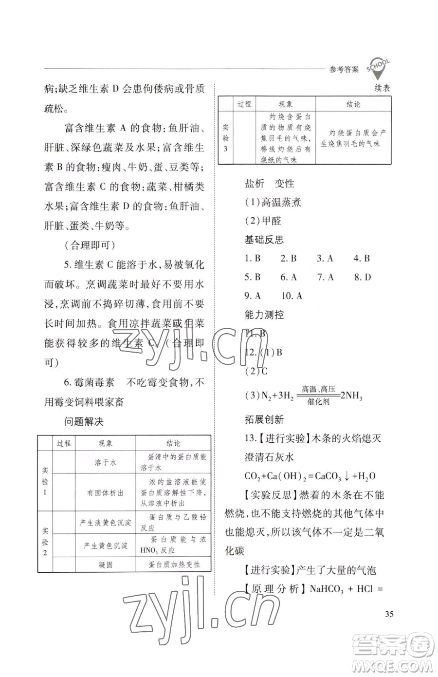 山西教育出版社2023新課程問(wèn)題解決導(dǎo)學(xué)方案九年級(jí)下冊(cè)化學(xué)滬教版參考答案