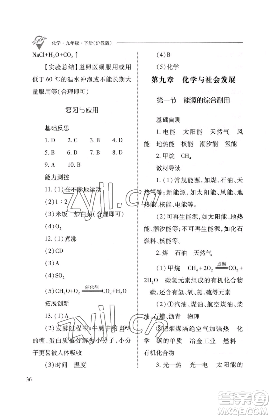 山西教育出版社2023新課程問(wèn)題解決導(dǎo)學(xué)方案九年級(jí)下冊(cè)化學(xué)滬教版參考答案