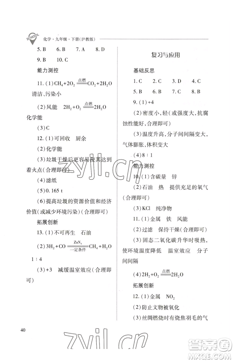 山西教育出版社2023新課程問(wèn)題解決導(dǎo)學(xué)方案九年級(jí)下冊(cè)化學(xué)滬教版參考答案