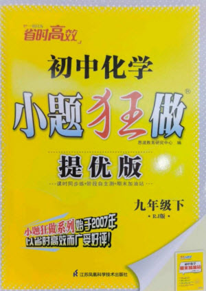 江蘇鳳凰科學(xué)技術(shù)出版社2023初中化學(xué)小題狂做九年級(jí)下冊(cè)人教版提優(yōu)版參考答案