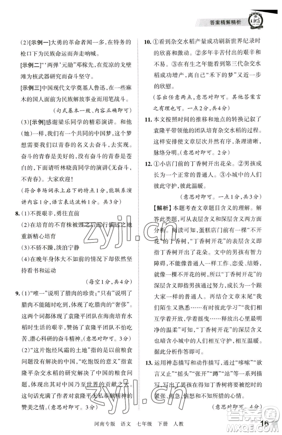 江西人民出版社2023王朝霞各地期末試卷精選七年級(jí)下冊(cè)語(yǔ)文人教版河南專版參考答案