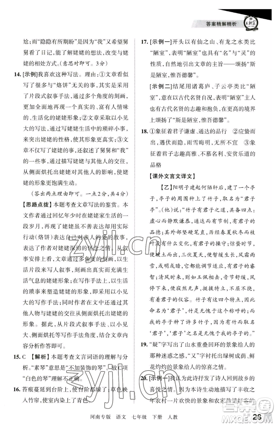 江西人民出版社2023王朝霞各地期末試卷精選七年級(jí)下冊(cè)語(yǔ)文人教版河南專版參考答案
