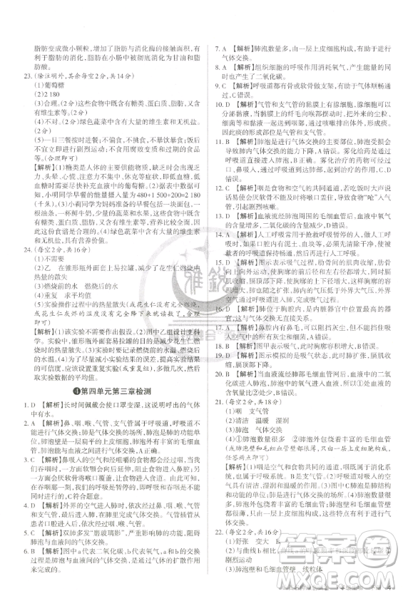 北京教育出版社2023山西名師原創(chuàng)試卷七年級(jí)下冊(cè)生物人教版參考答案