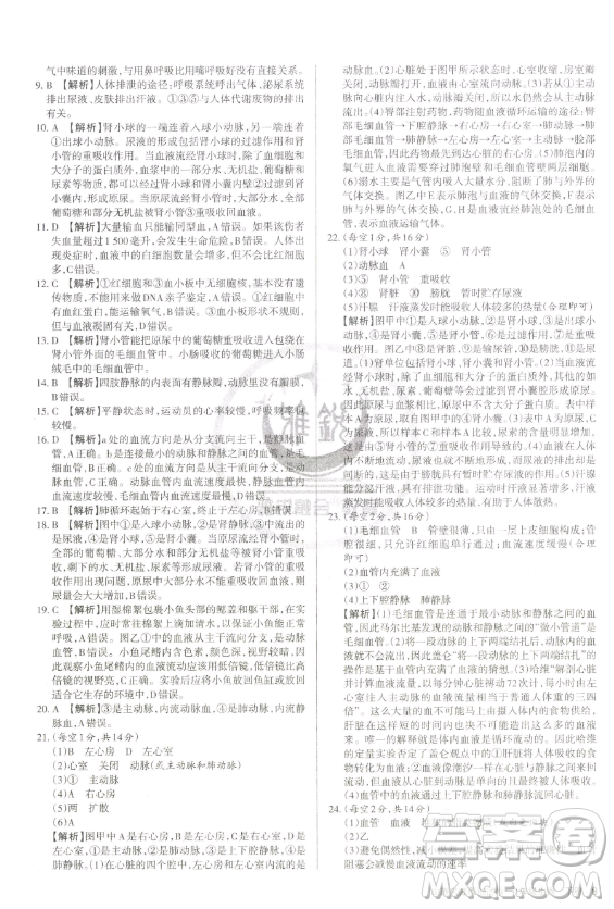 北京教育出版社2023山西名師原創(chuàng)試卷七年級(jí)下冊(cè)生物人教版參考答案