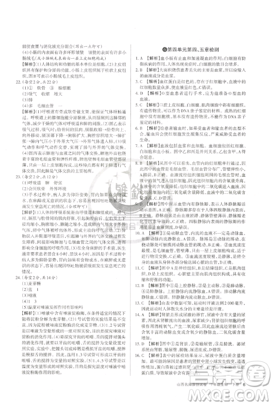 北京教育出版社2023山西名師原創(chuàng)試卷七年級(jí)下冊(cè)生物人教版參考答案