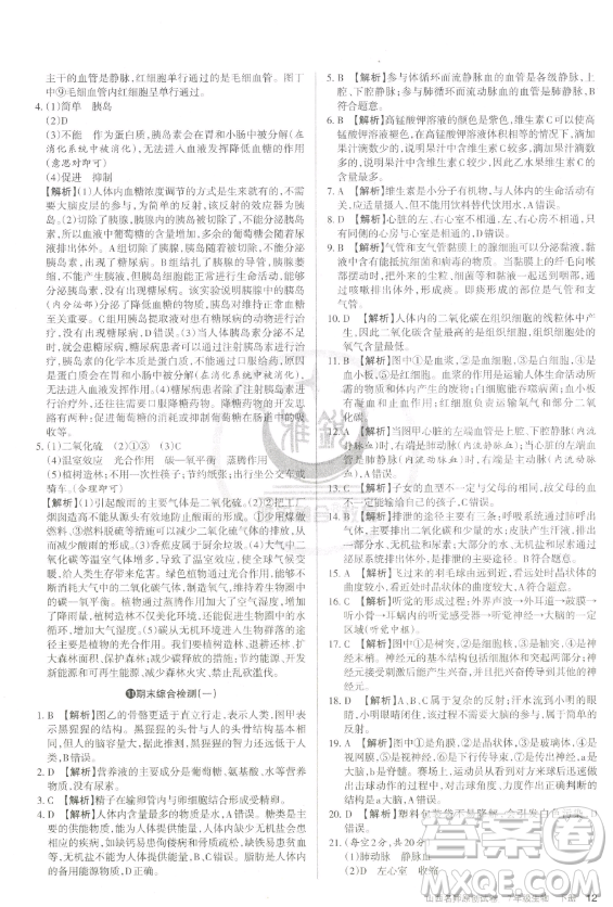 北京教育出版社2023山西名師原創(chuàng)試卷七年級(jí)下冊(cè)生物人教版參考答案