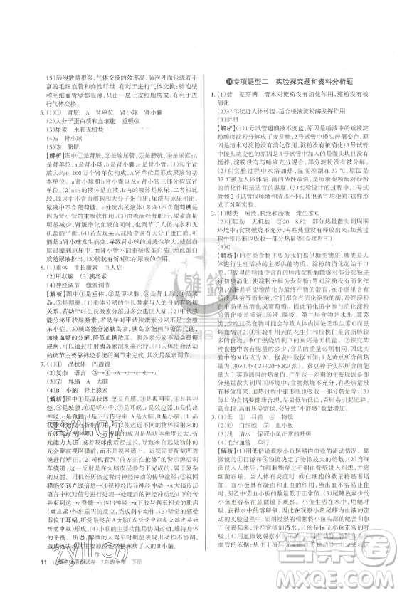 北京教育出版社2023山西名師原創(chuàng)試卷七年級(jí)下冊(cè)生物人教版參考答案