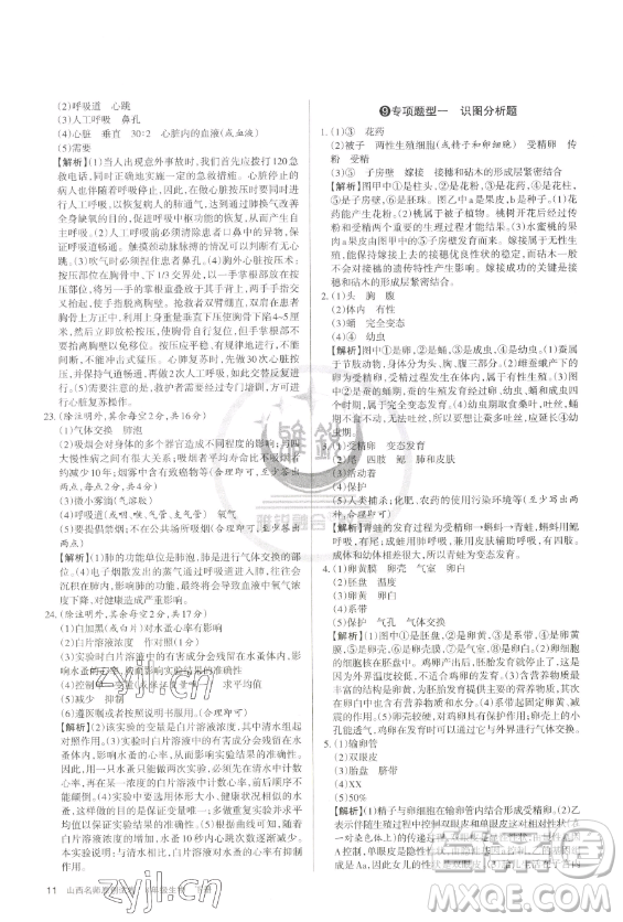 北京教育出版社2023山西名師原創(chuàng)試卷八年級下冊生物人教版參考答案