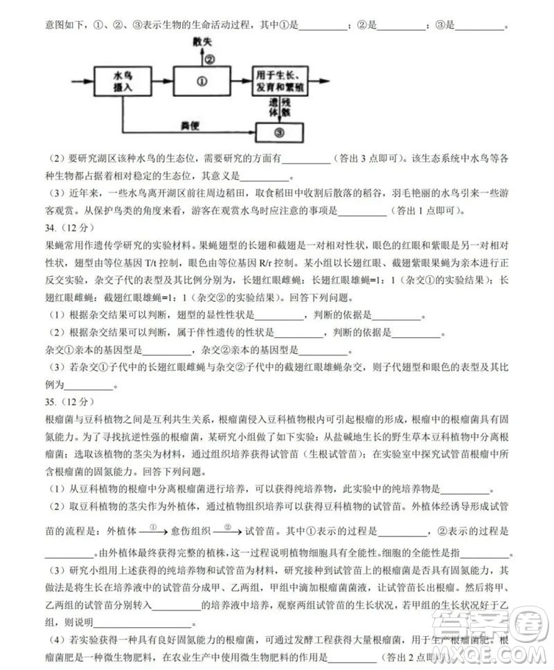 2023年高考新課標(biāo)全國(guó)II卷生物試題答案