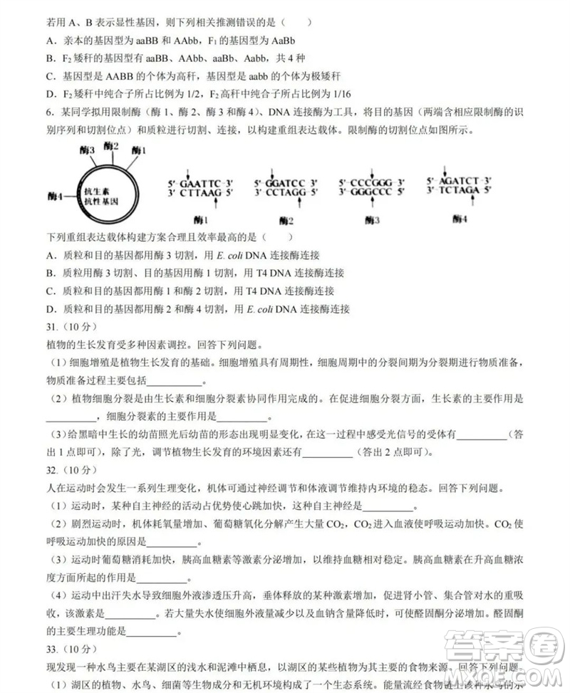 2023年高考新課標(biāo)全國(guó)II卷生物試題答案