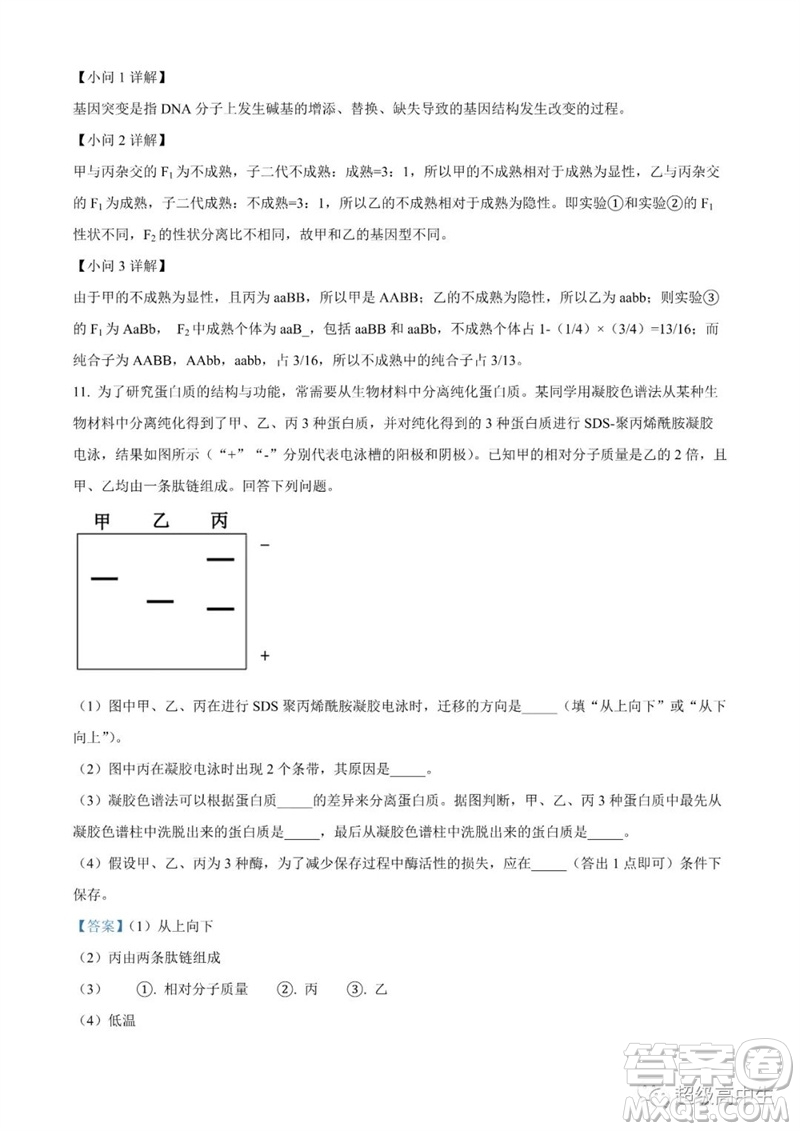 2023年高考全國甲卷理綜生物試卷答案