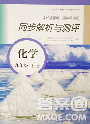 人民教育出版社2023人教金學典同步解析與測評九年級下冊化學人教版山西專用參考答案