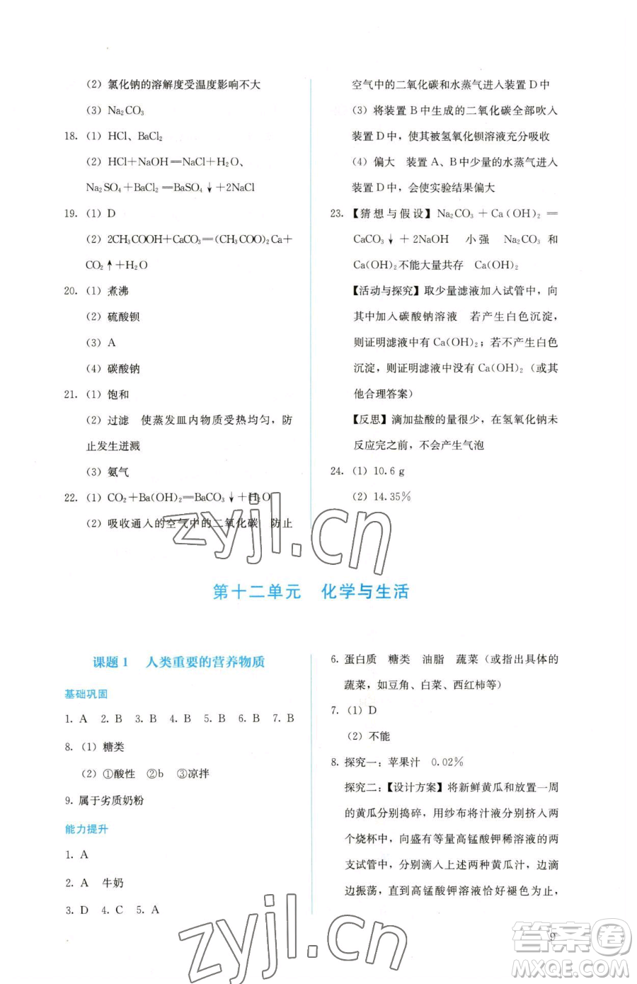 人民教育出版社2023人教金學典同步解析與測評九年級下冊化學人教版山西專用參考答案