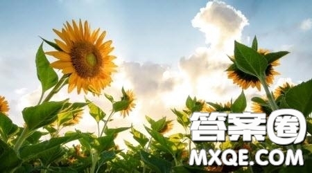 與春相遇作文600字 關(guān)于與春相遇為題作文600字