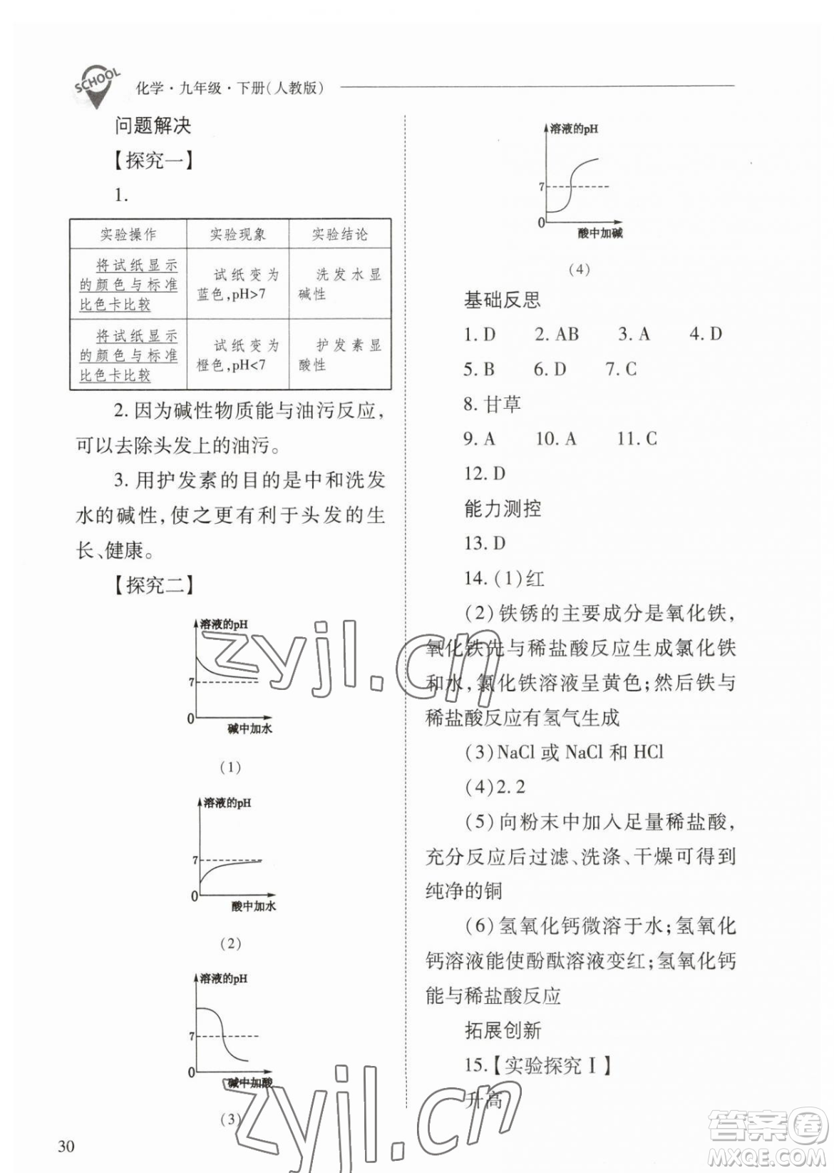 山西教育出版社2023新課程問題解決導(dǎo)學(xué)方案九年級下冊化學(xué)人教版參考答案