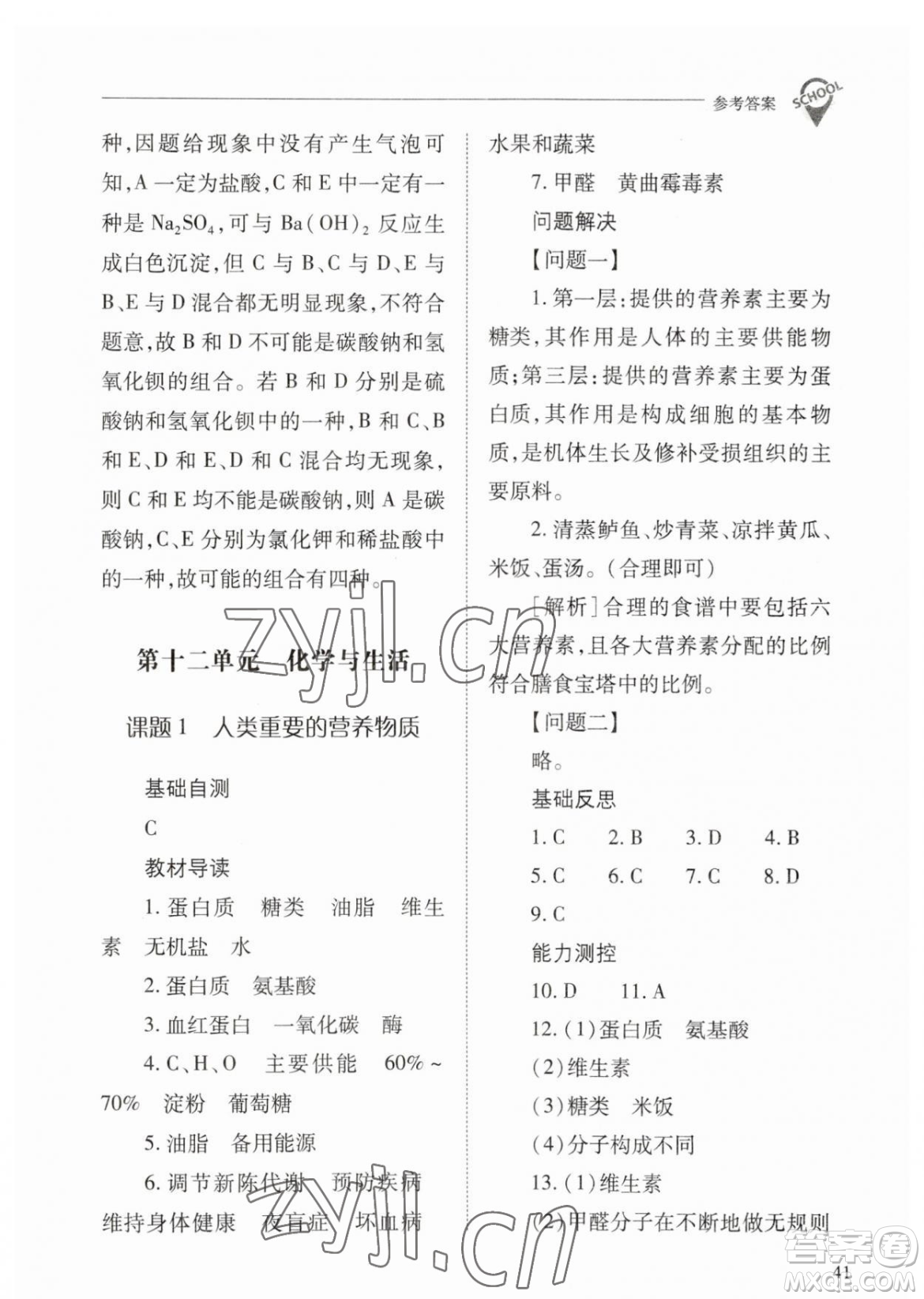 山西教育出版社2023新課程問題解決導(dǎo)學(xué)方案九年級下冊化學(xué)人教版參考答案