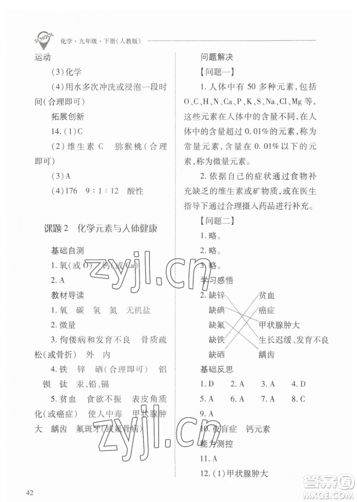 山西教育出版社2023新課程問題解決導(dǎo)學(xué)方案九年級下冊化學(xué)人教版參考答案