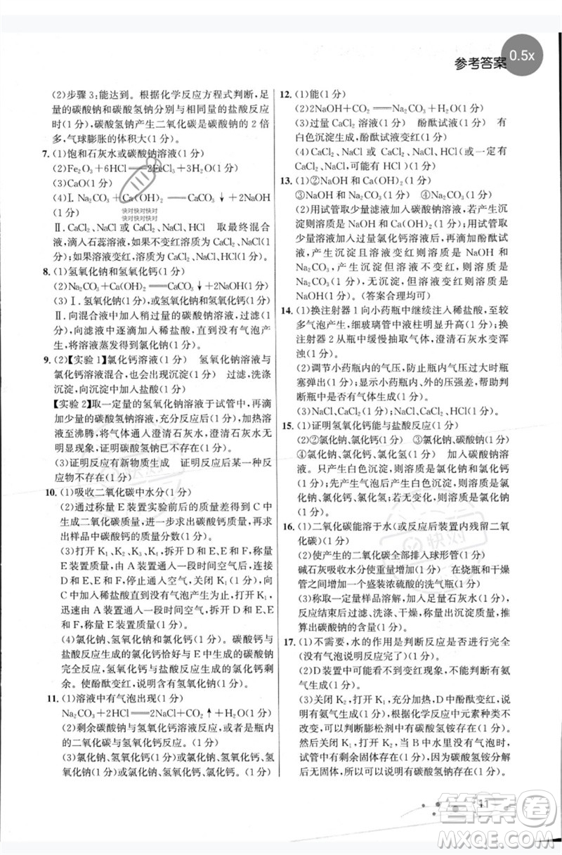 現(xiàn)代教育出版社2023大連中考沖刺專題復(fù)習九年級化學(xué)通用版參考答案