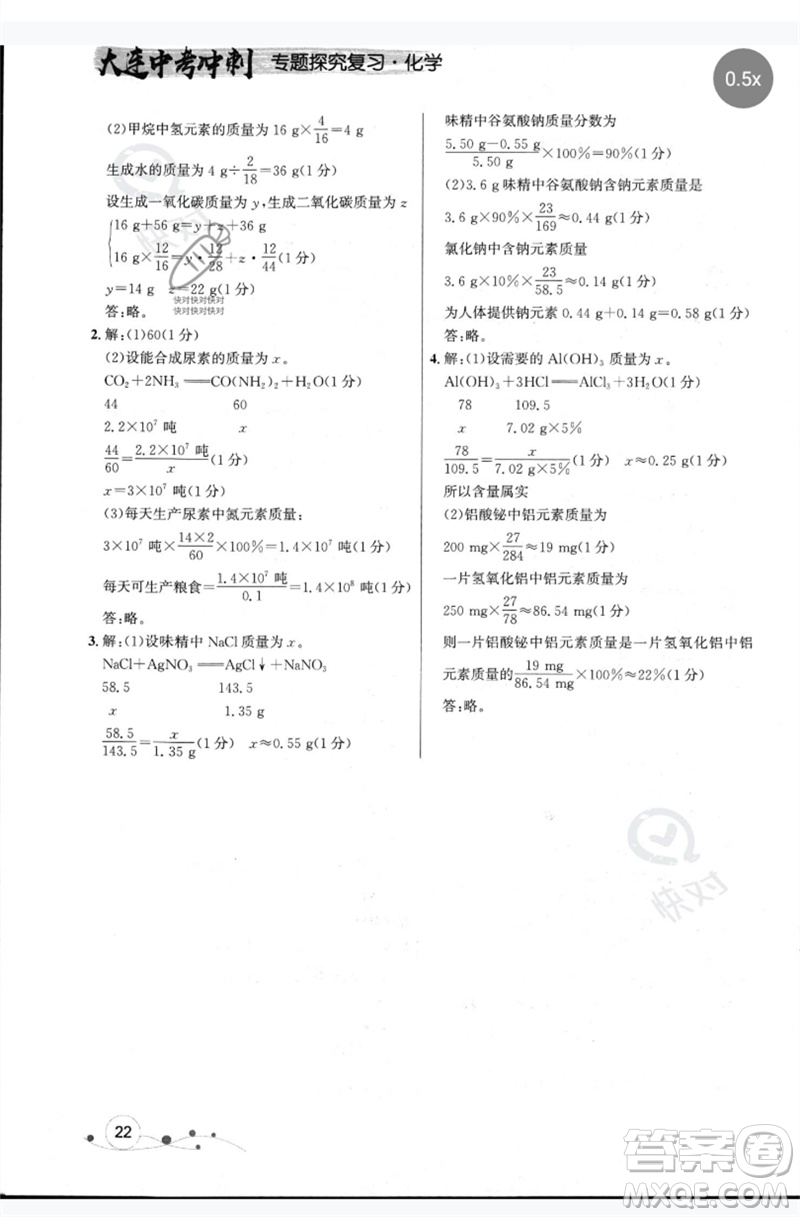 現(xiàn)代教育出版社2023大連中考沖刺專題復(fù)習九年級化學(xué)通用版參考答案